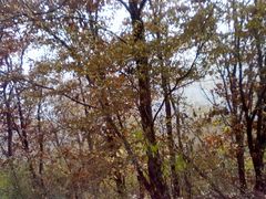 201311023918-阳台山自然风景区