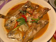 -杨氏青龙虾·羊蝎子(珠江路店)
