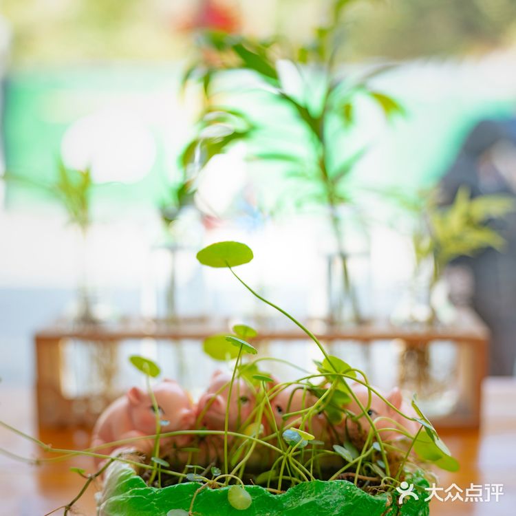 在莫干山居然遇到了芋泥脑袋？这不得进来尝尝