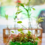 在莫干山居然遇到了芋泥脑袋？这不得进来尝尝