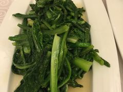 油麦菜-楼兰印象(朝外店)