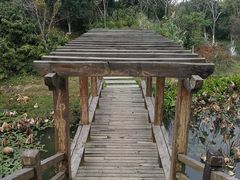 -艾溪湖湿地公园