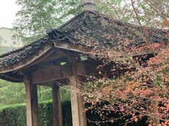 -武汉园博园(武汉自然博物馆)