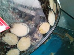 -聚德福海鲜家常菜(刘庄店)