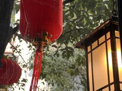 -泡桐树街