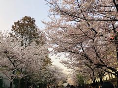 -鸡鸣寺