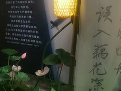 -金茂览秀城