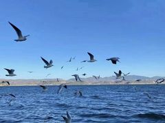 -大理洱海