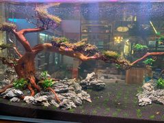 -六福烧烤酒馆(秦隆步行街店)