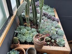 -陀岗美食·云南藏式特色餐厅