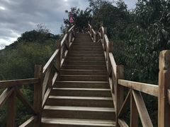 -大岭沟猕猴桃谷风景区