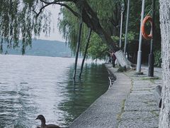 -西湖游船