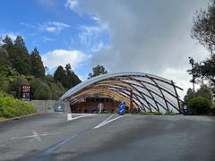 -怀托摩萤火虫洞