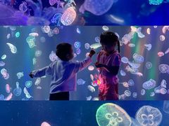 -海合安成都极地海洋公园