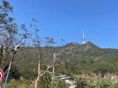 -梧桐山风景名胜区