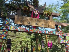 -西双版纳原始森林公园
