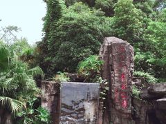 -广州市流溪河国家森林公园