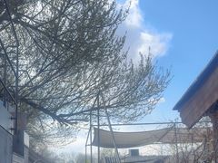 -元古本店(南锣鼓巷店)
