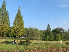 -宜兴龙背山森林公园