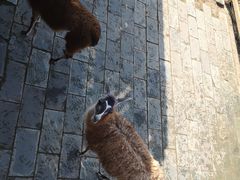 -鄂尔多斯野生动物园