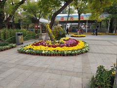-文瀛公园