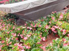 -上海市龙华烈士陵园