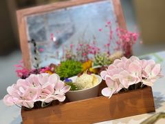 -花菇朵 ll 野生菌锅·精品滇菜(后沙峪店)