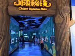 -海合安成都极地海洋公园