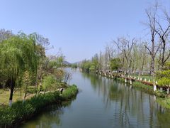-洋湖国家湿地公园