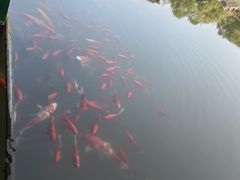 -陶祖圣境风景区