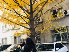 -北京邮电大学