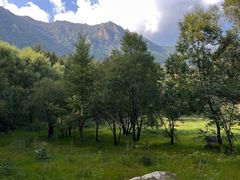 -白草畔自然风景区