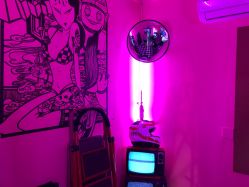 点击看大图 -MDZ STORE·TATTOO·耳饰