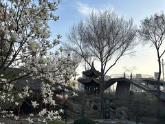 -碑林公园