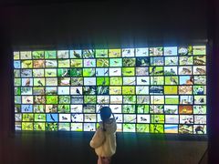 -四川大学博物馆