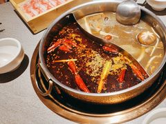 -菌自在·云南野生菌火锅(长安万达店)