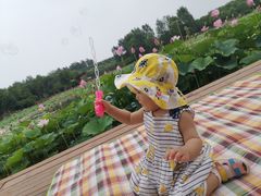 -东郊湿地公园