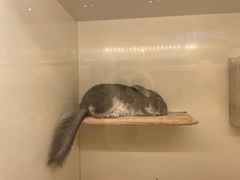 -龙猫仔乐园(惠福东路店)