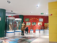 -上海昆虫博物馆