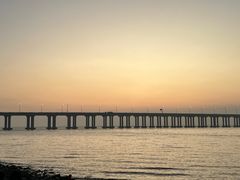 -宝安西湾红树林湿地公园