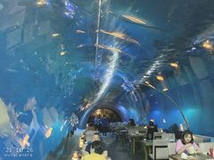 -海棠湾洲际-涛·海底餐厅·美人鱼·自助餐·海底隧道