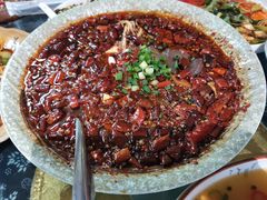 -青城甲(青城山店)