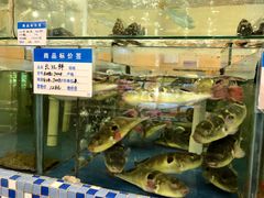 水产区-大方圆酒楼(西门大街店)