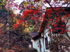 -北山街历史文化街区