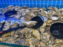 -罗马假日海鲜自助餐厅(星湖广场店)