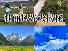 -成都动物园