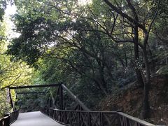-宝岩生态观光园
