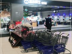 -盒马鲜生(新都心店)