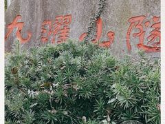 -九曜山