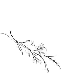 -针牛刺客·刺青纹身